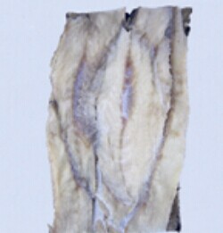 fish block