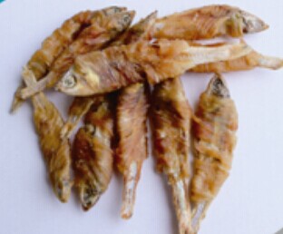鸡肉包小鱼
