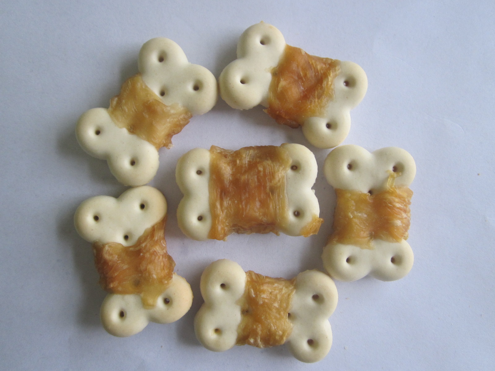 biscuit for dog-a